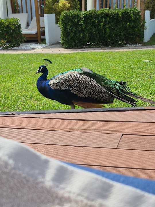 Außenansicht White Dreams Resort & Anex