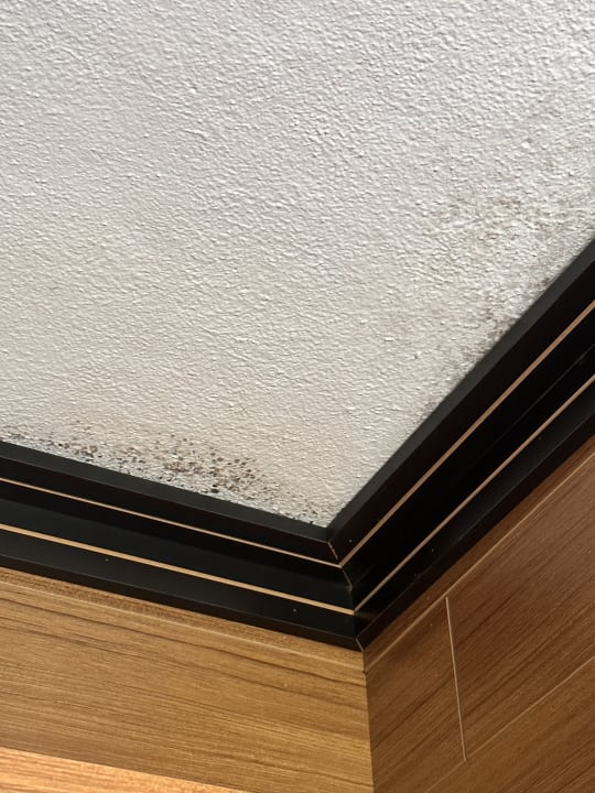 Zimmer Club Hotel Anjeliq