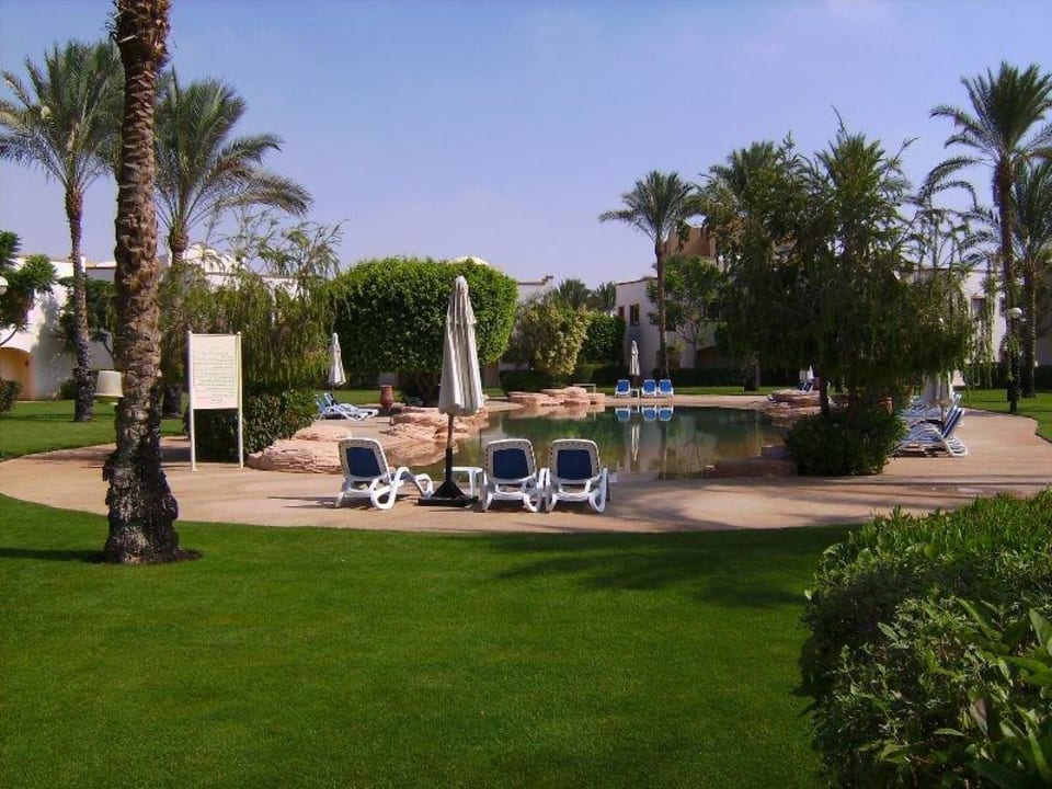 So leer fanden wir nachmittags den "Privatpool" vo Hotel Sea Club Stella Di Mare