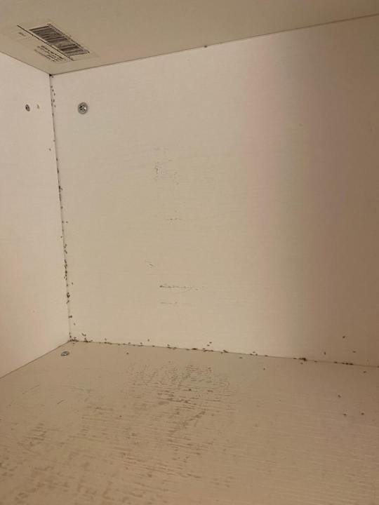 Zimmer Paradù Tuscany EcoResort