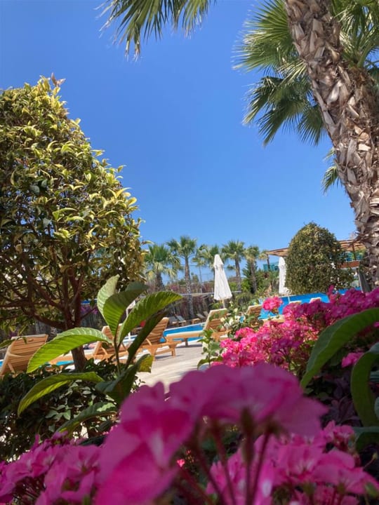 Gartenanlage Dream World Aqua Hotel