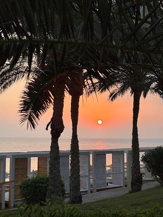 Strand Serenity Alpha Beach