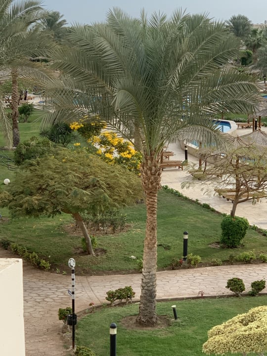 Gartenanlage Hurghada Long Beach Resort