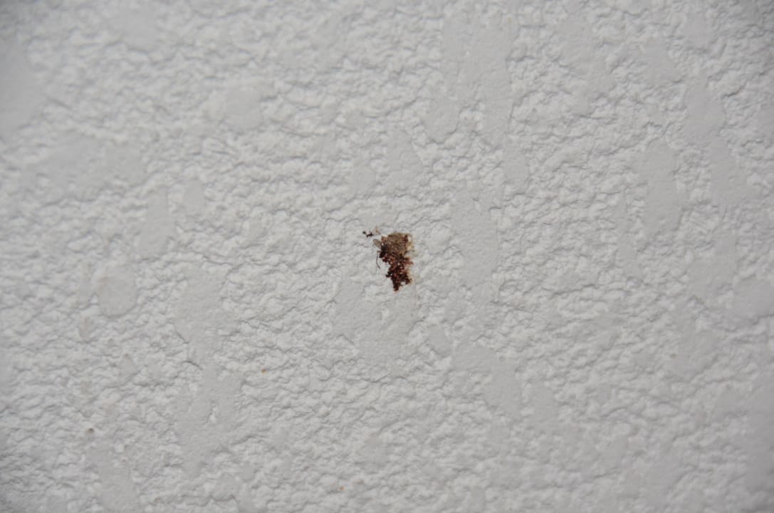 Flecken Nahaufnahme Apartments Résidence Club L'île d'Or