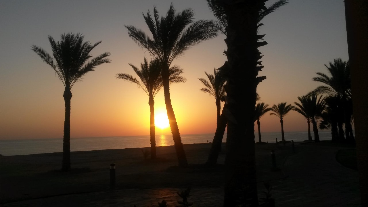 Sunrise Steigenberger Coraya Beach - Adults only