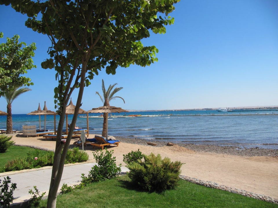 Ausblickblick von Terrasse Beach Albatros Resort