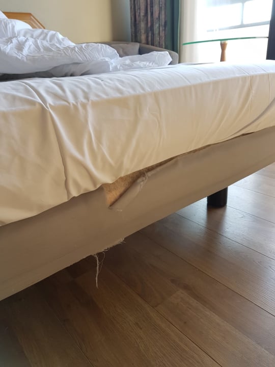 Zimmer Hotel Excelsior Ludwigshafen