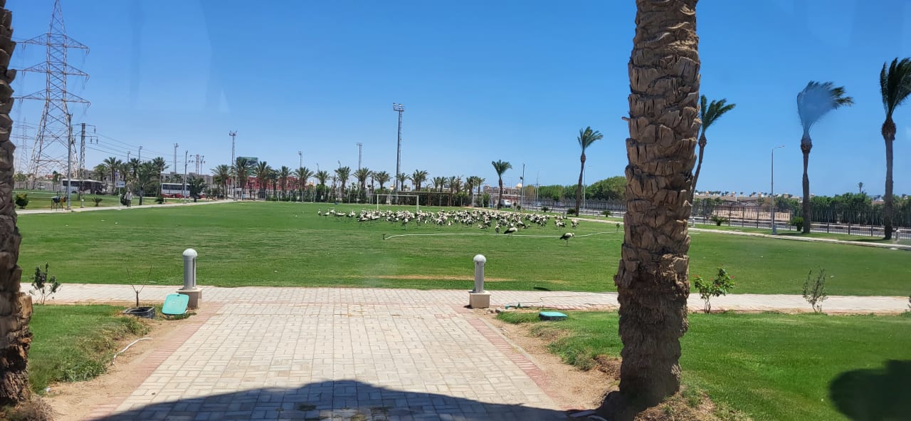 Gartenanlage Pickalbatros Alf Leila Wa Leila Resort - Neverland Hurghada