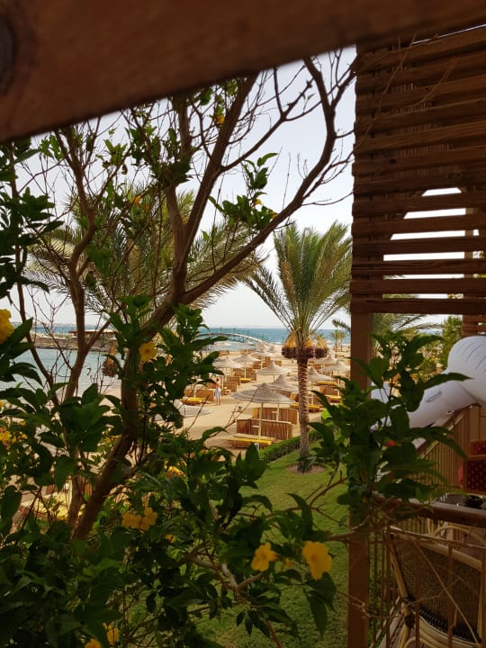 Ausblick Desert Rose