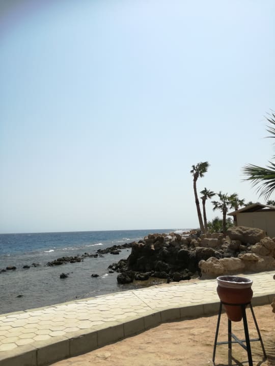 Strand Pickalbatros Citadel Resort