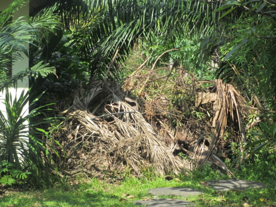 Außenansicht Hotel Garden Lodge