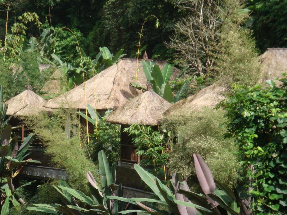 Ausblick von der teehausterrasse Hotel Hanging Gardens of Bali