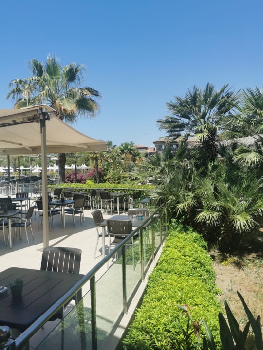 Ausblick Calimera Serra Palace