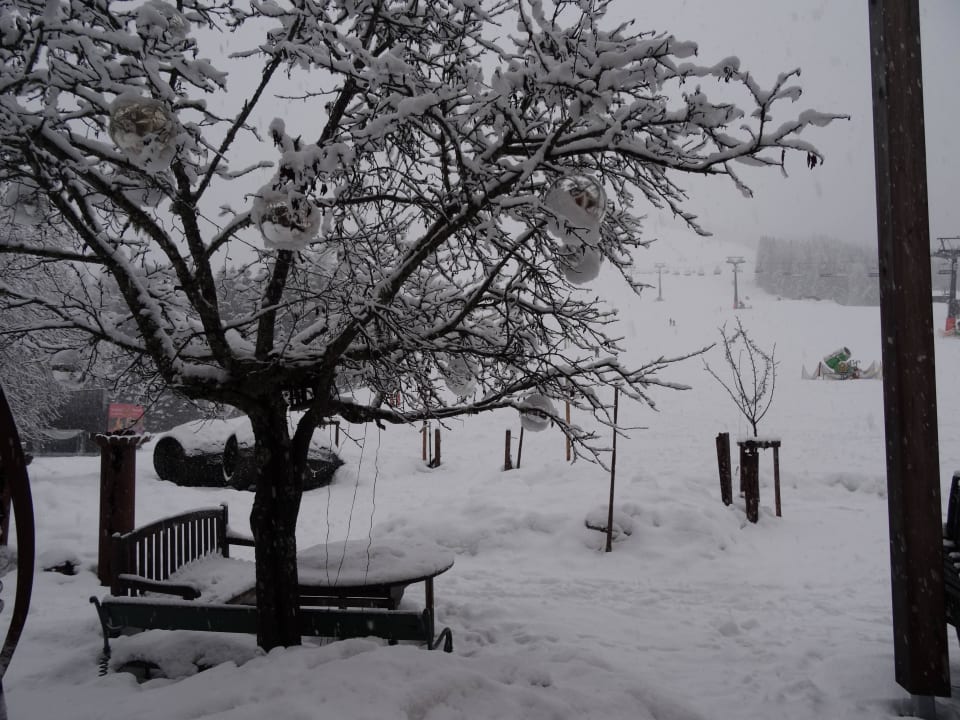 Garten im Winter Holzhotel Forsthofalm