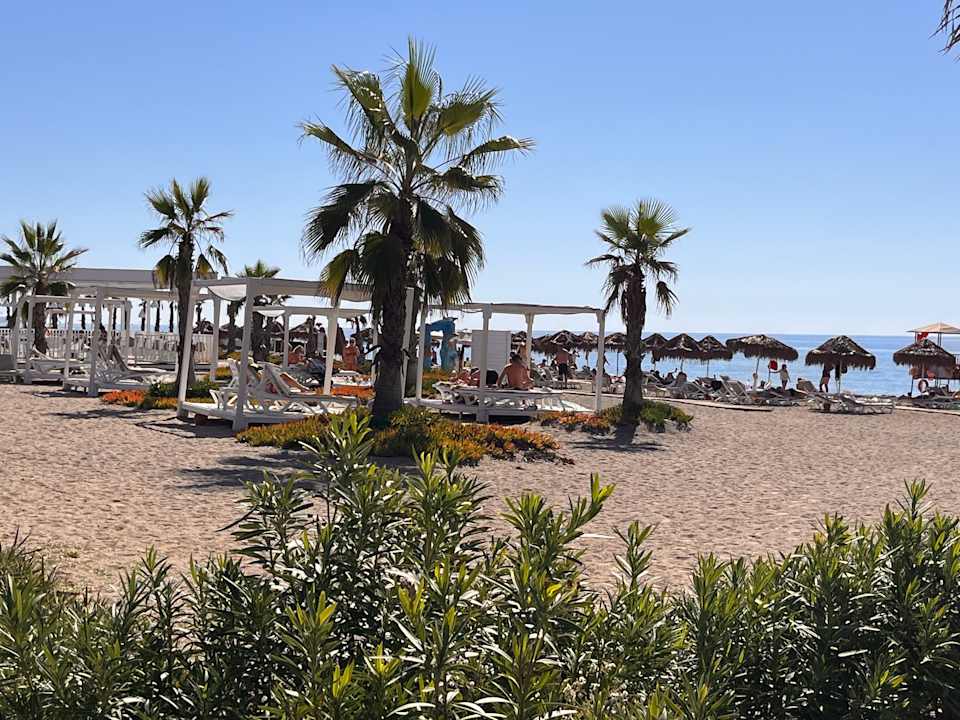 Strand Calimera Serra Palace