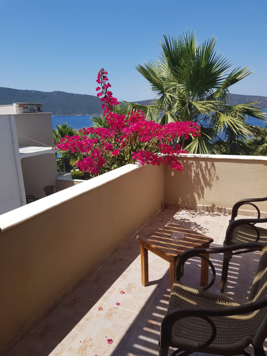Ausblick TUI MAGIC LIFE Bodrum - Adult Only (16+)