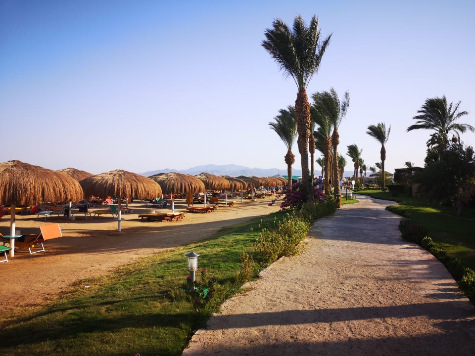 Strand Sentido Caribbean World Soma Bay