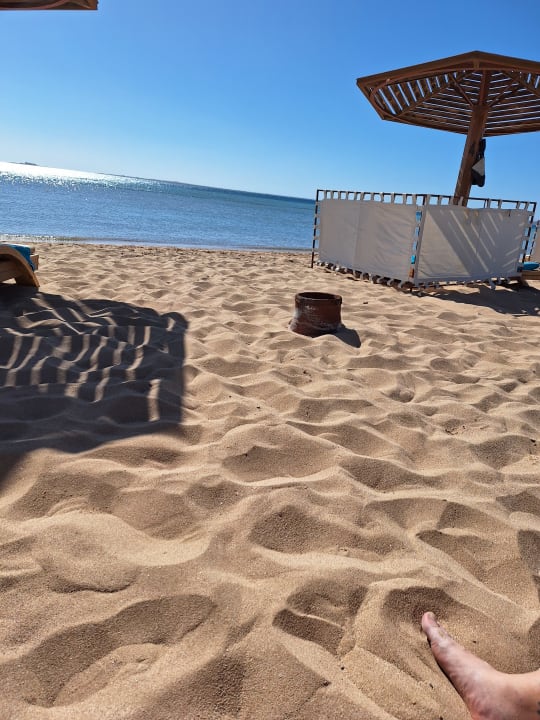 Strand Shams Prestige Abu Soma-Adults Only