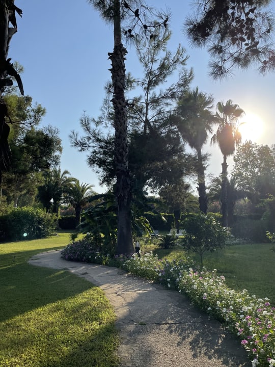 Gartenanlage Asteria Collection Side