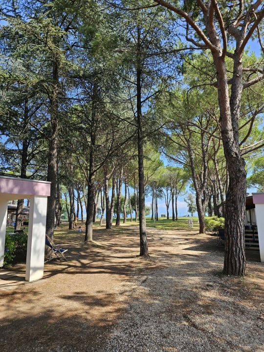 Gartenanlage Marina Julia Family Collection
