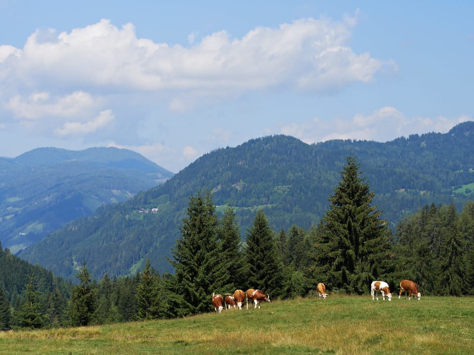 Reuter -Kogel-Rundwanderweg Alpengasthof Moser