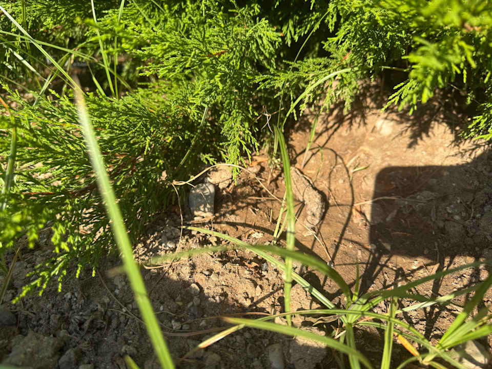 Gartenanlage Royal Wings Hotel