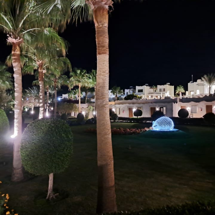 Gartenanlage Sharm Club Beach Resort