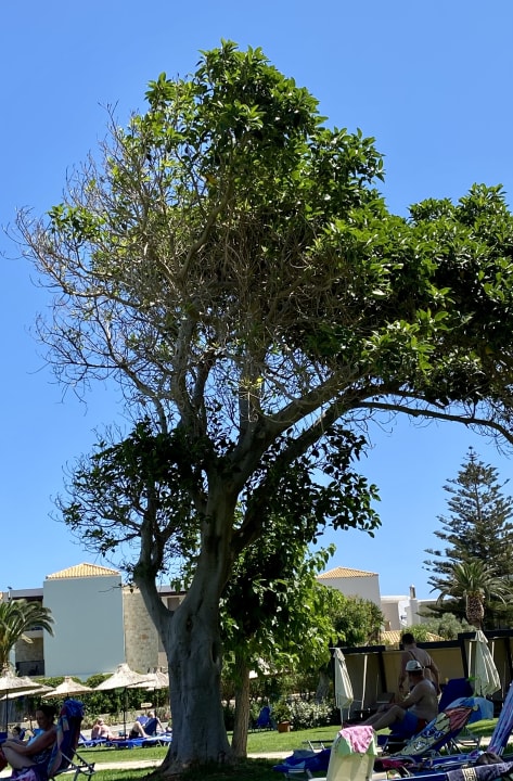 Sonstiges Anissa Beach & Village