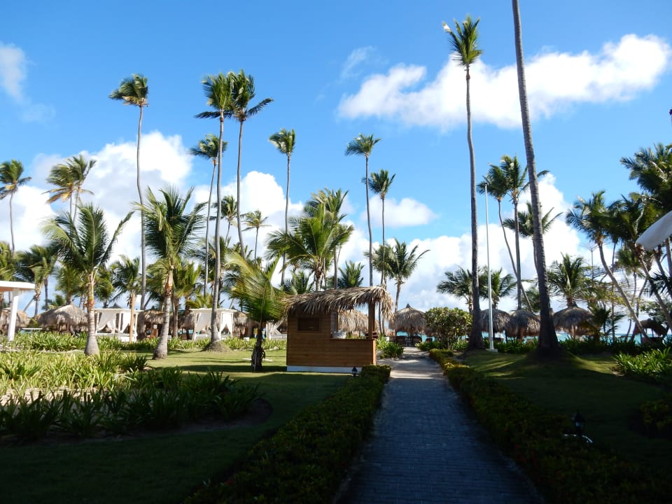 Weg zum Strand TRS Turquesa Hotel - Adults only