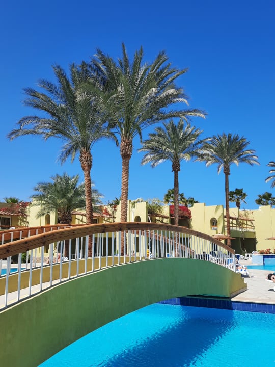 Pool Palm Beach Resort