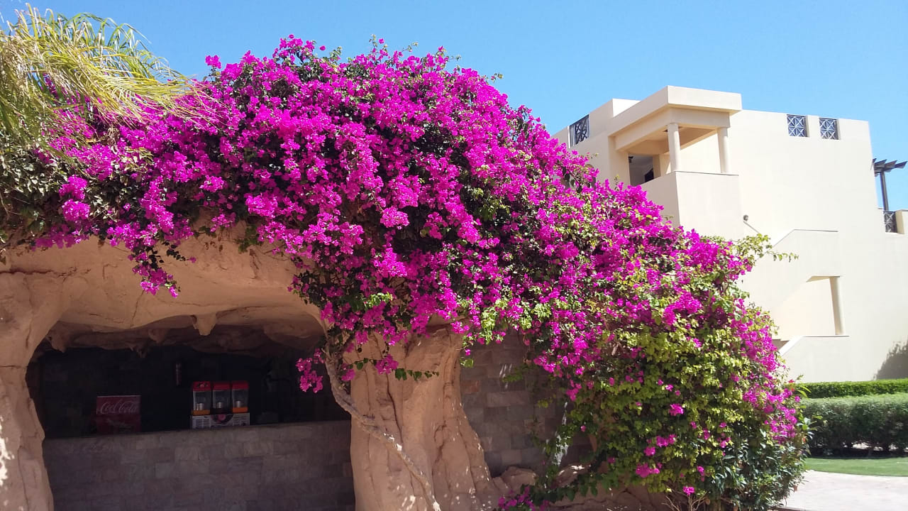 Außenansicht Stella Garden Resort & Spa, Makadi Bay