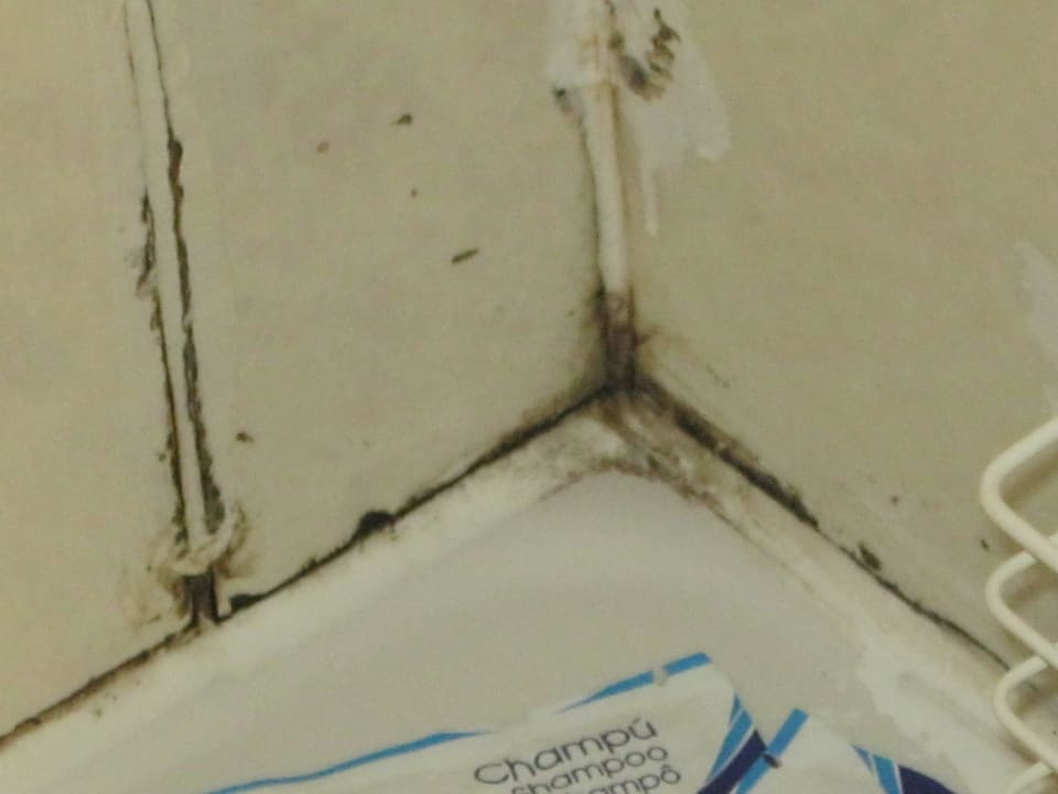 Dusche Bad Hotel Aldea Cala Fornells 1