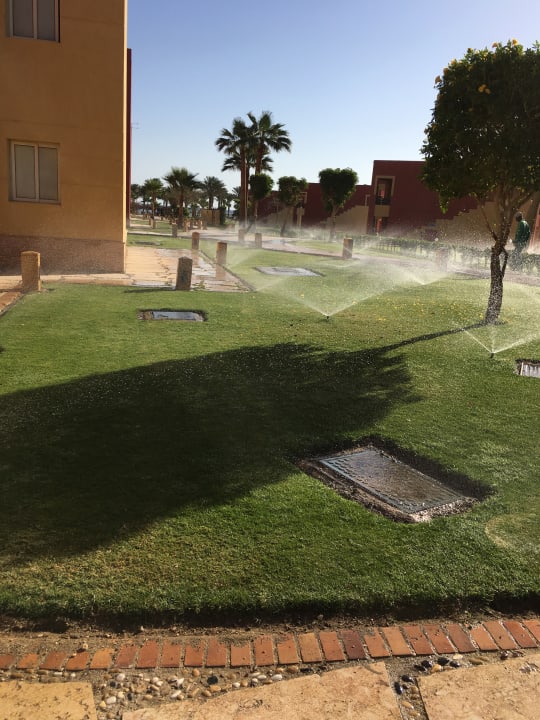 Gartenanlage Casa Mare Resort