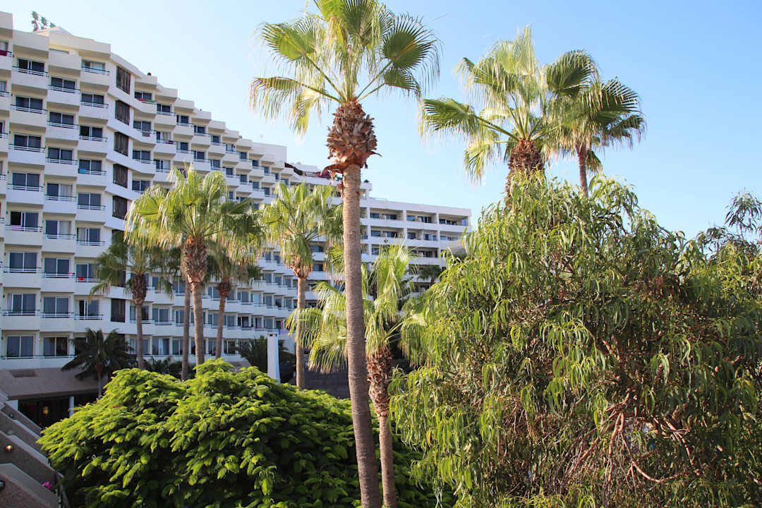 Hôtel H10 Las Palmeras - La Vue H10 Las Palmeras