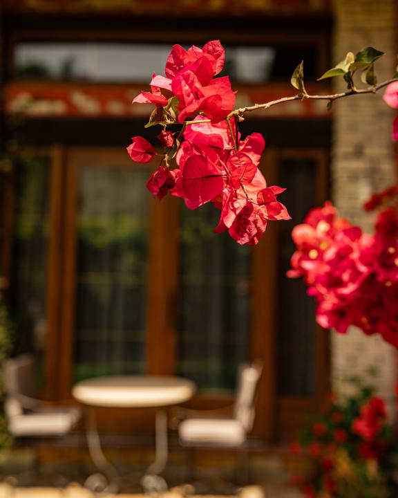 Gartenanlage Vila Belvedere