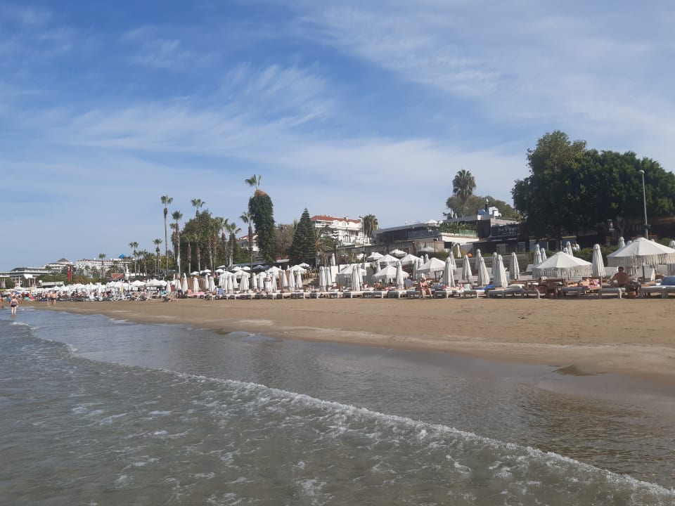 Strand Clover Magic Nova Beach