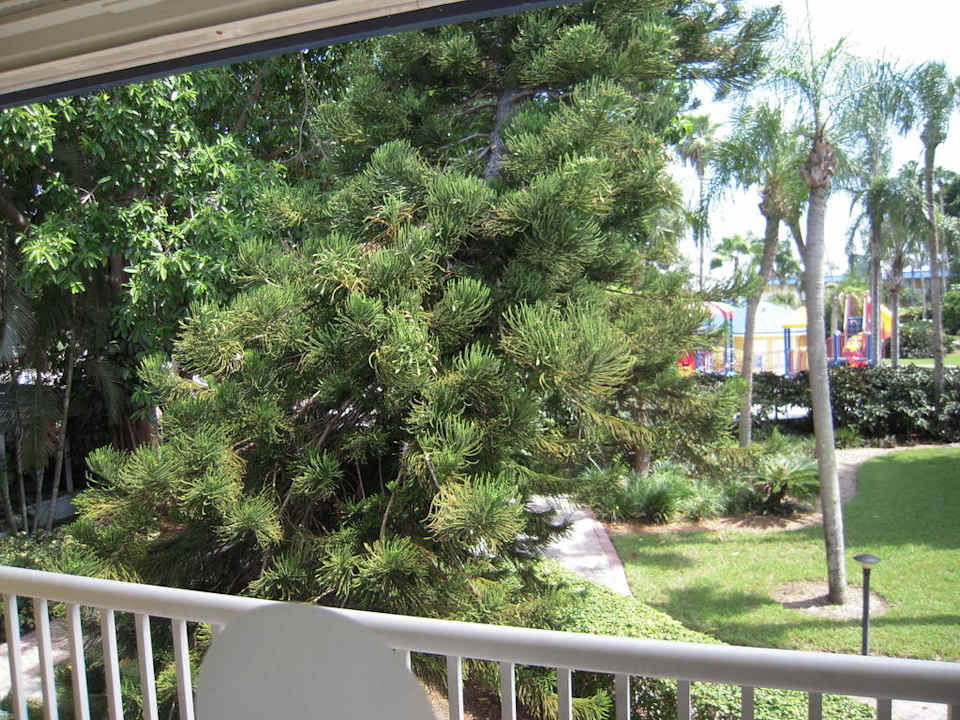 Blick vom Balkon Hotel Magnuson Marina Cove