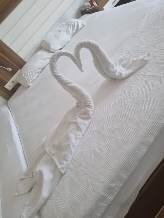 Zimmer Dizalya Palm Garden