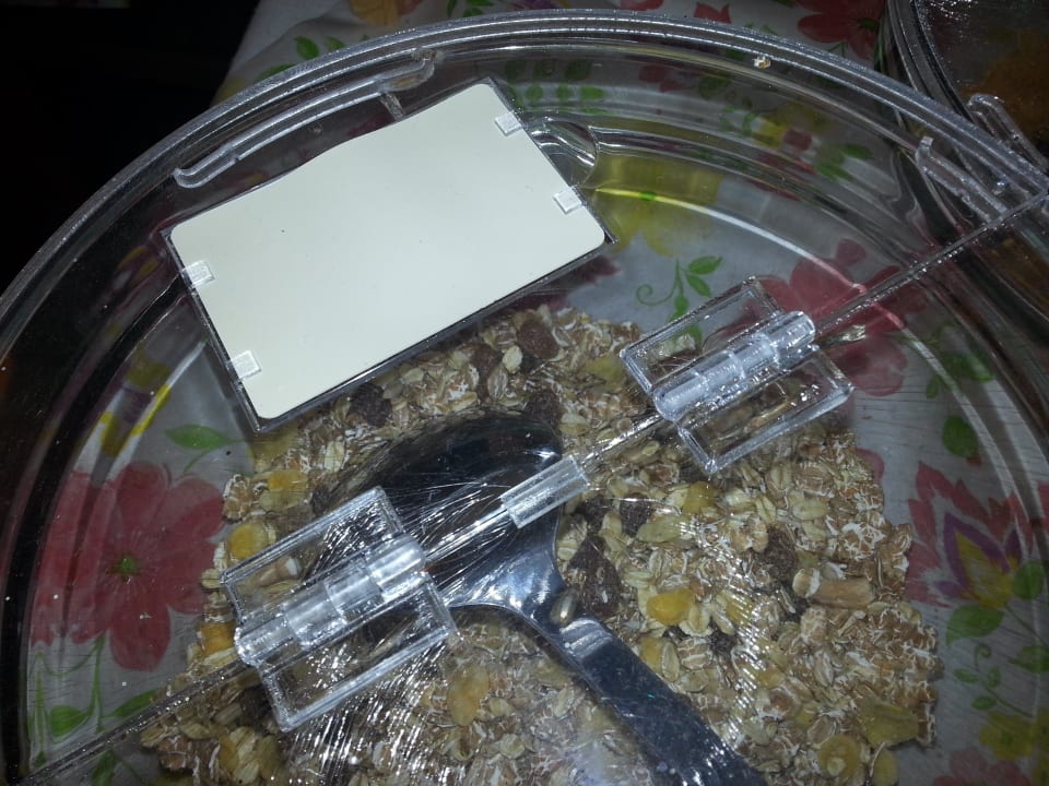 Tiere Gästehaus Seehaus