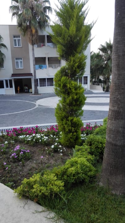 Flora Club Sidelya Hotel