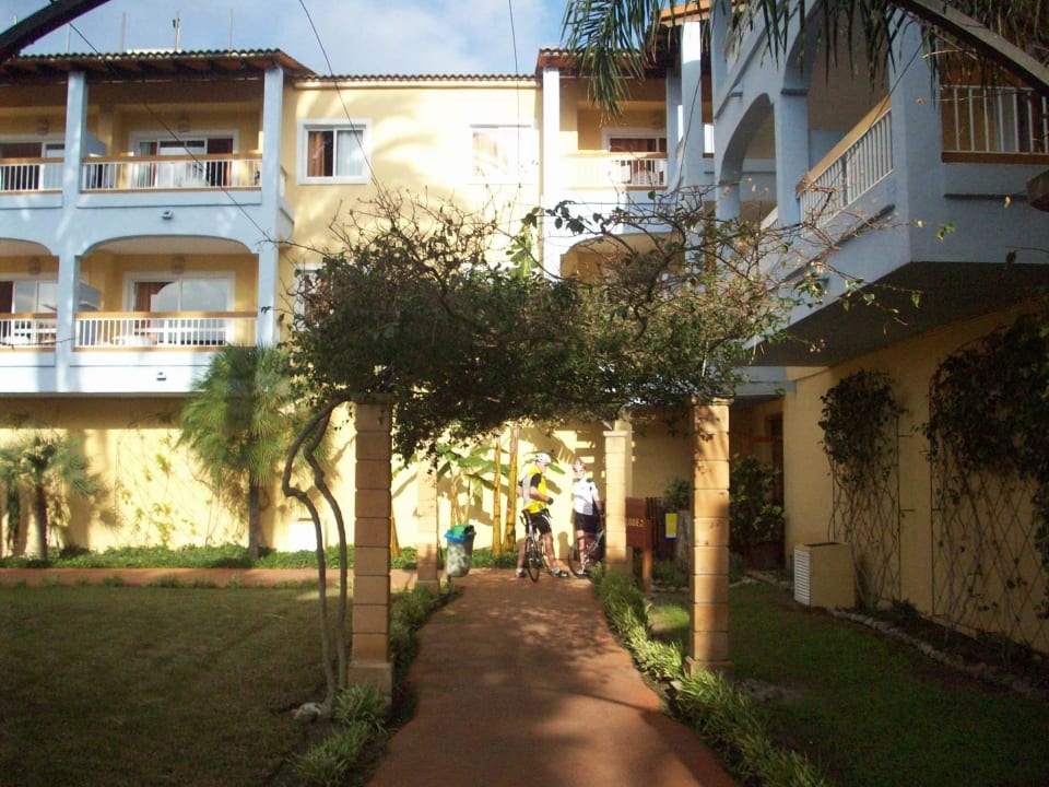Blick zum Zimmer geradezu Alcudia Garden Aparthotel