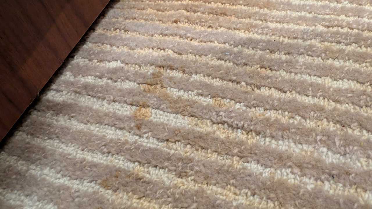 Zimmer Grand Hyatt Dubai