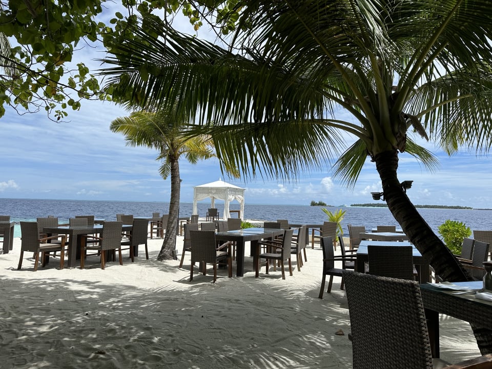 Gastro Lily Beach Resort & Spa