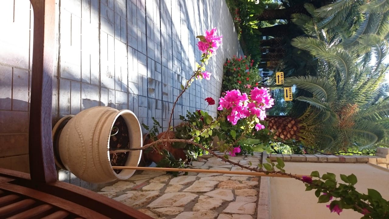 Alles sehr gepflegt Hotel Portes Beach