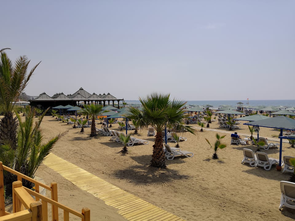 Strand Paloma Oceana