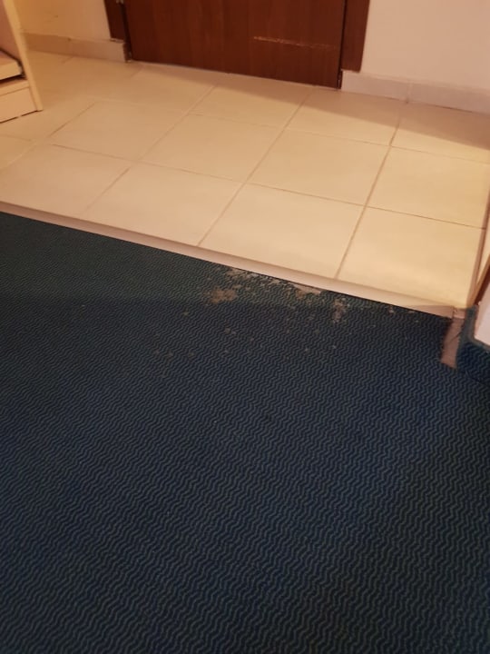 Zimmer Bieno Club SVS