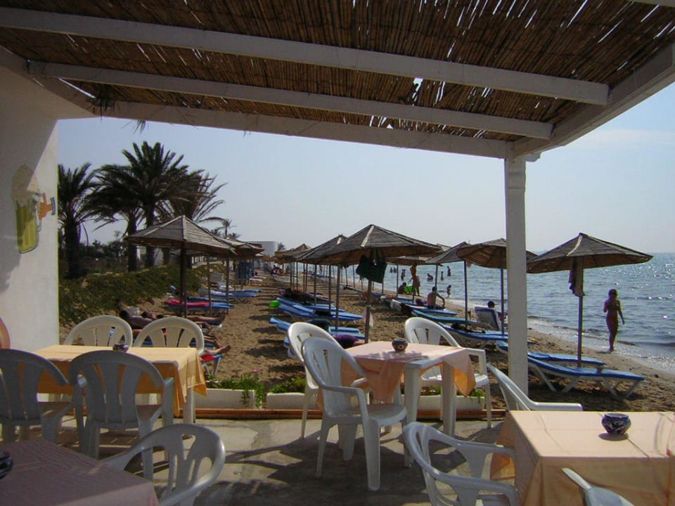 Blick auf die Strandbar Royal Lido Resort & Spa