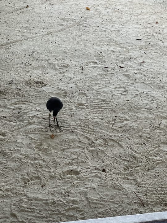Strand OZEN LIFE MAADHOO
