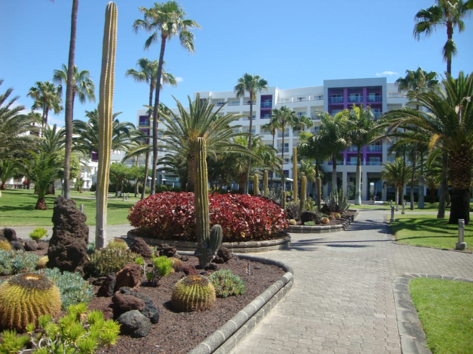 Gartenanlage Riu Club Gran Canaria Hotel Riu Gran Canaria