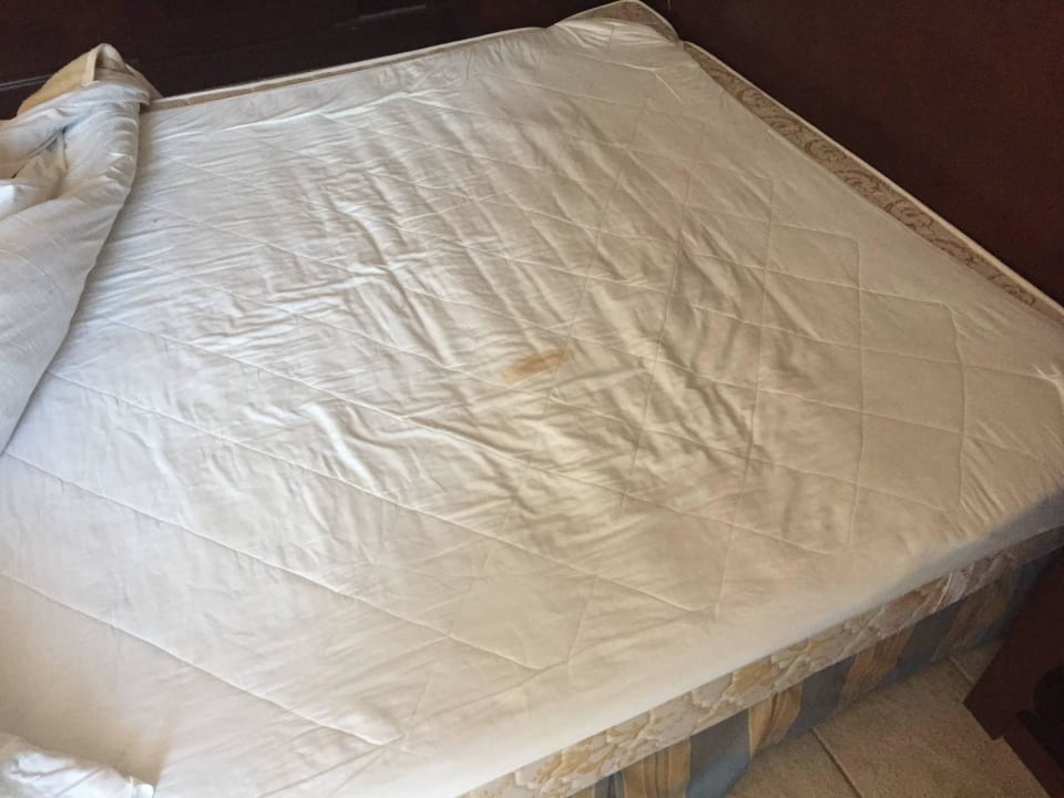 Verkoteter Matratzenschoner... lecker... 5 Sterne Stella Beach Resort & Spa Makadi Bay